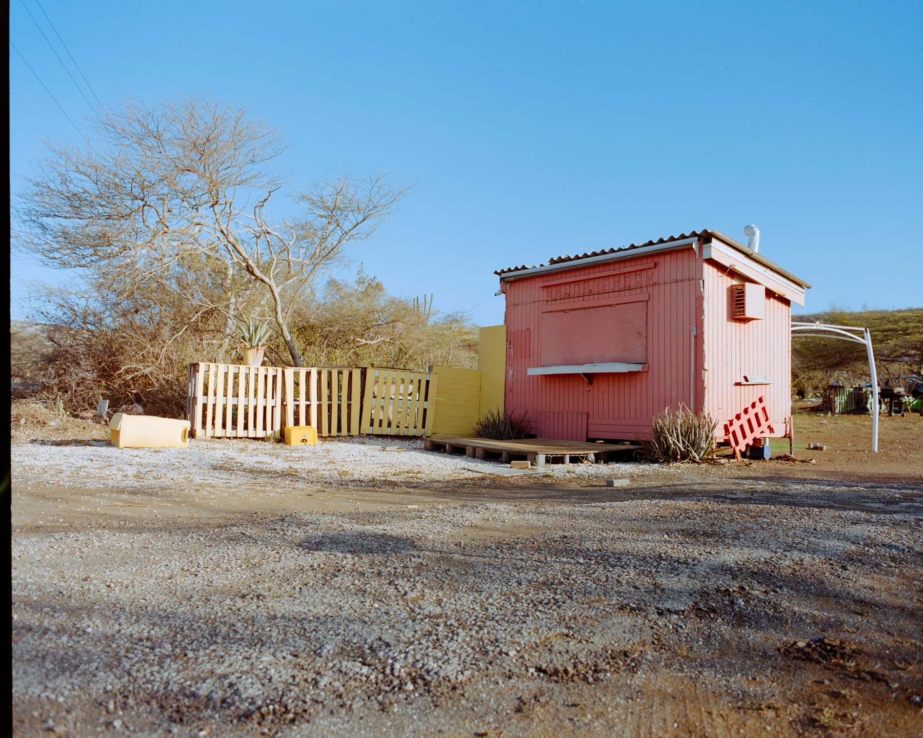 Archive frame 6 from a roll of Ektacolor 800