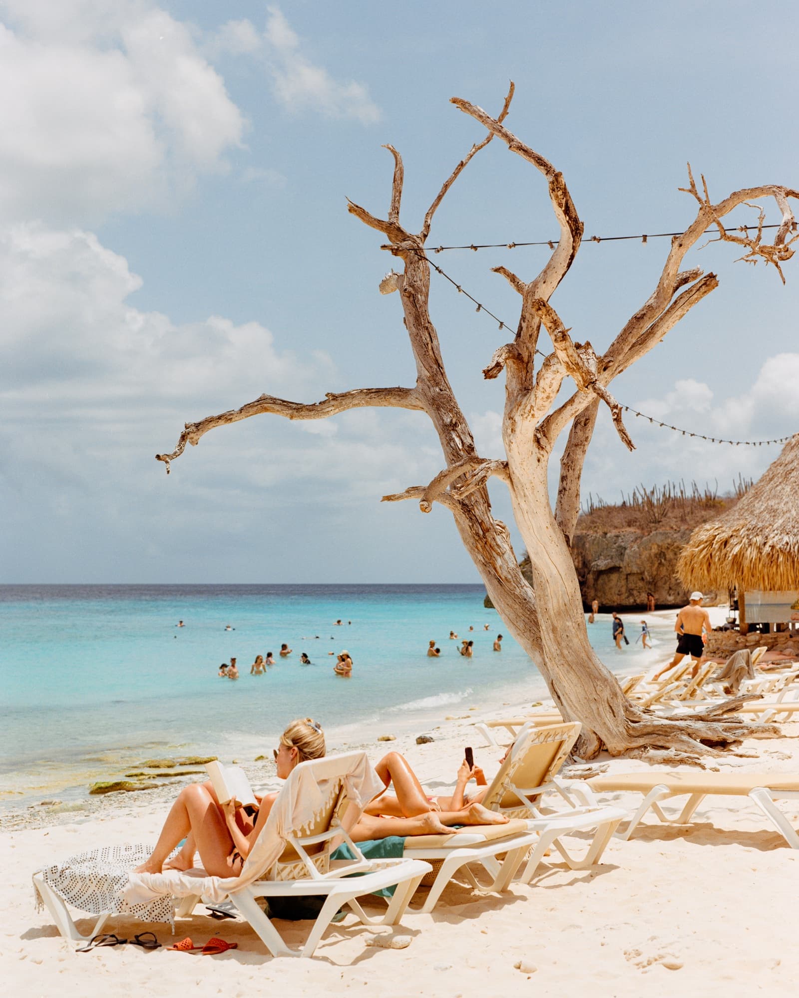 Film frame on Kodak Gold 200 — a driftwood tree strung with lights over beach loungers on a turquoise bay